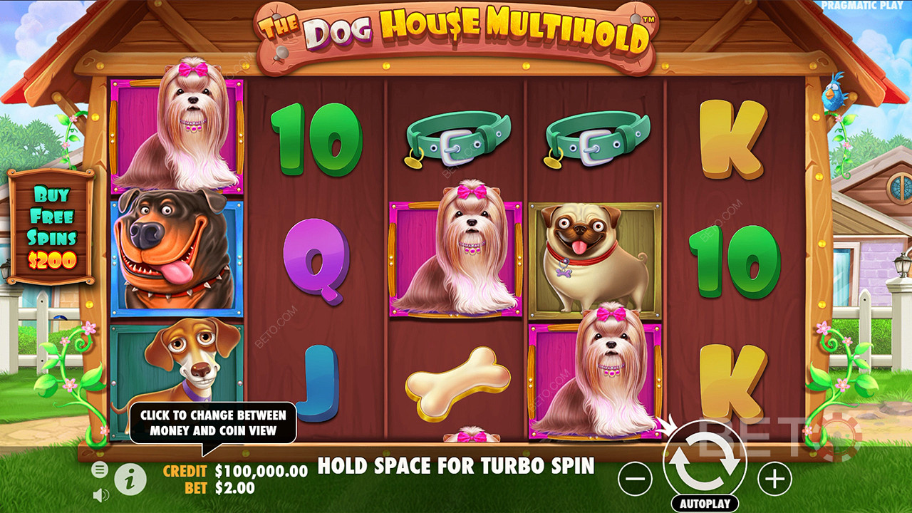 如何玩Pragmatic Play的The Dog House Multihold