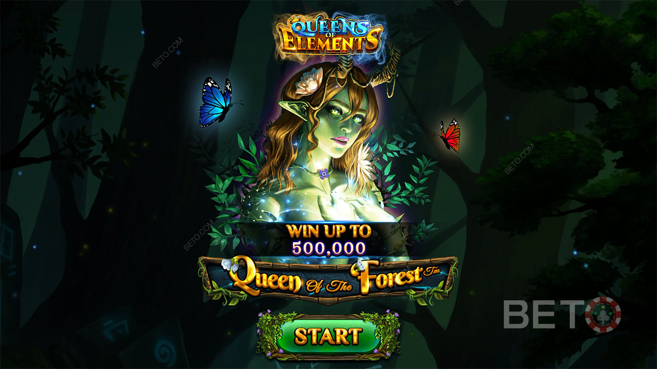 Queen of the Forest 免費遊戲