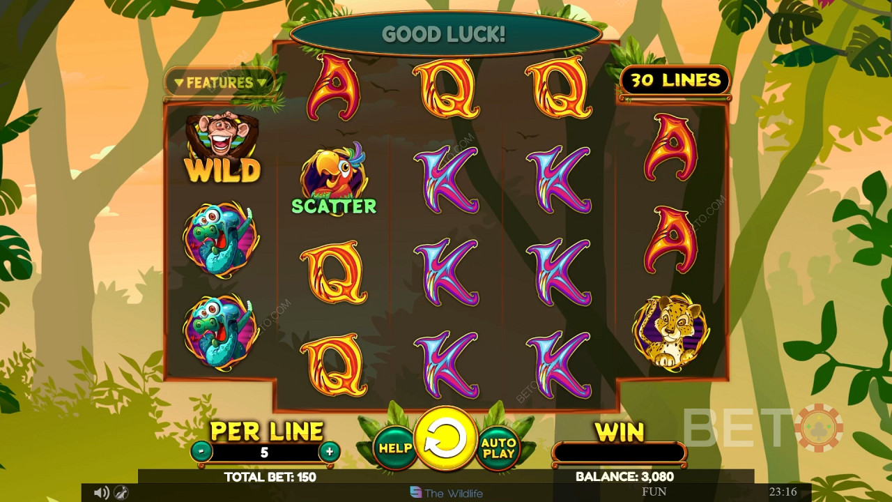 Wacky Monkey 免費遊戲