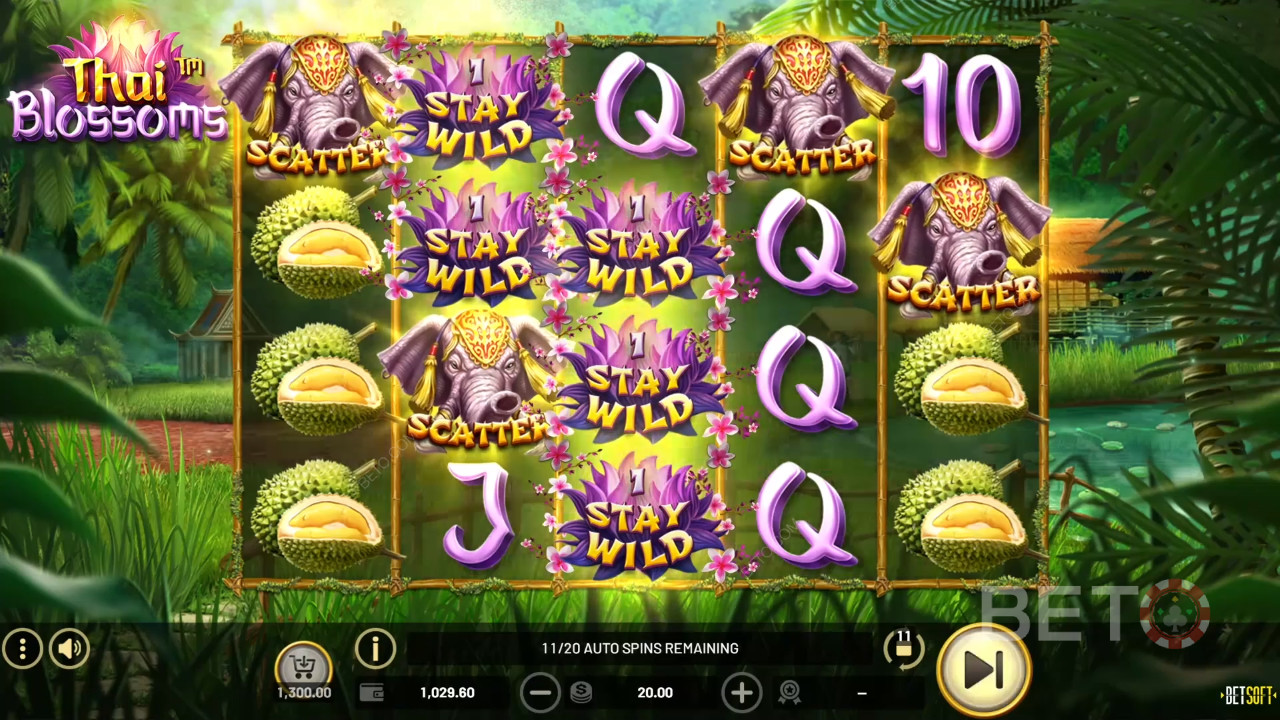BETO 老虎機的 Thai Blossoms 評論