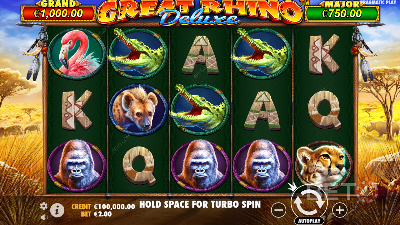 如何玩Pragmatic Play的 Great Rhino Deluxe