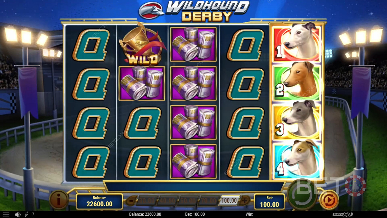 Wildhound Derby 免費遊戲