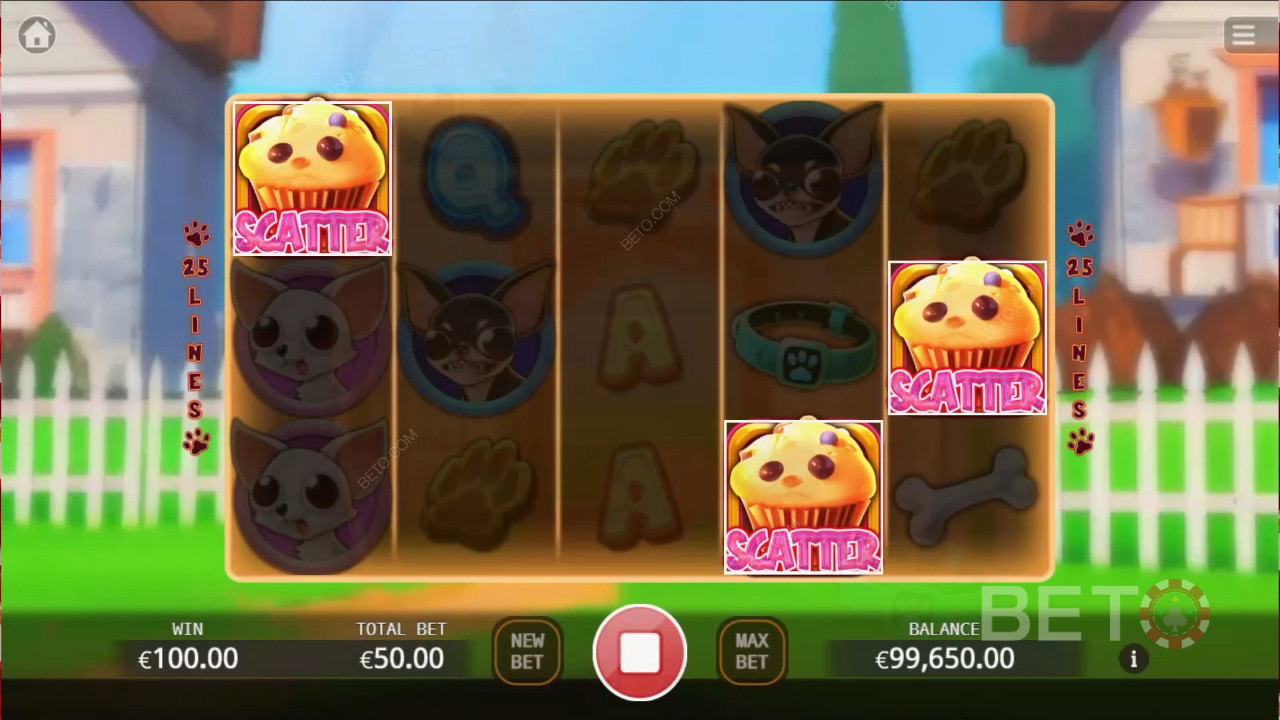 BETO Slots 的奇瓦瓦派對評論