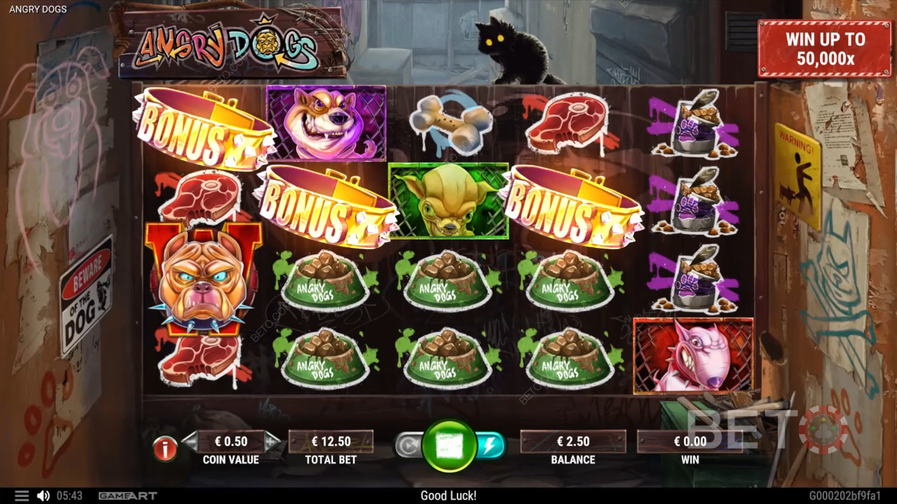 Angry Dogs 免費遊戲