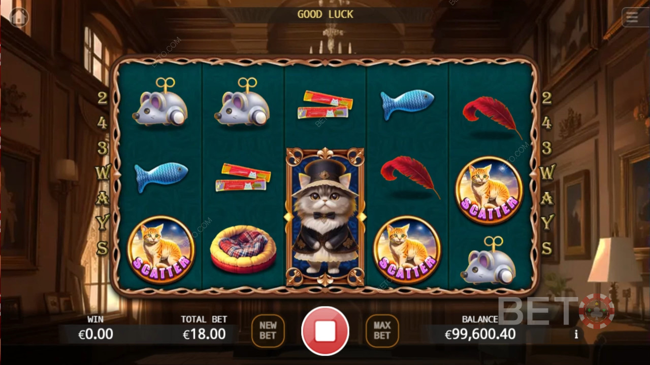 BETO 老虎機的 Noble Cat 評論