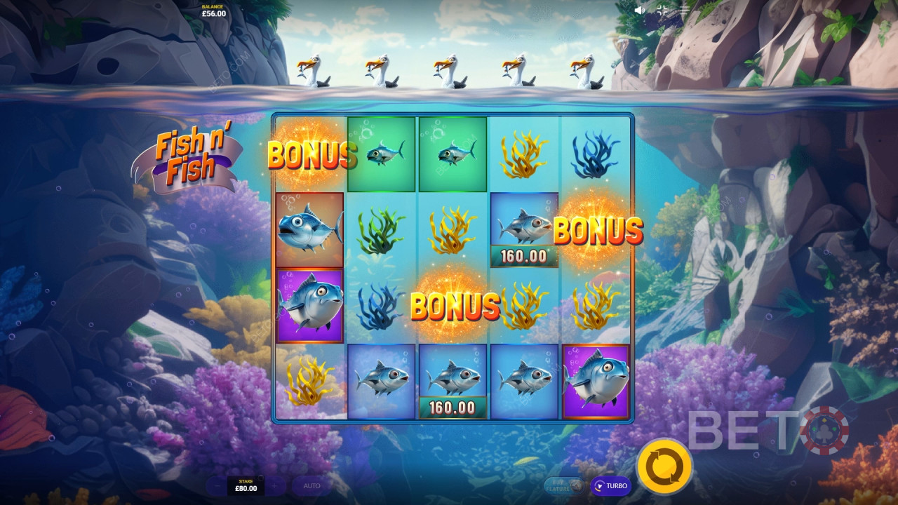 BETO Slots 對 Fish n