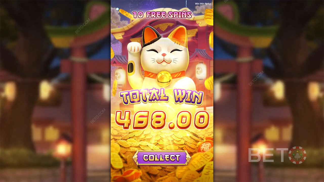 Win Win Neko - 是或否