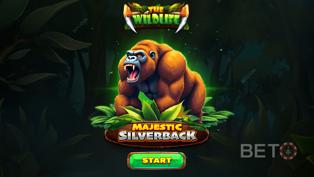 Spinomenal的《Majestic Silverback》中的獎勵功能詳解