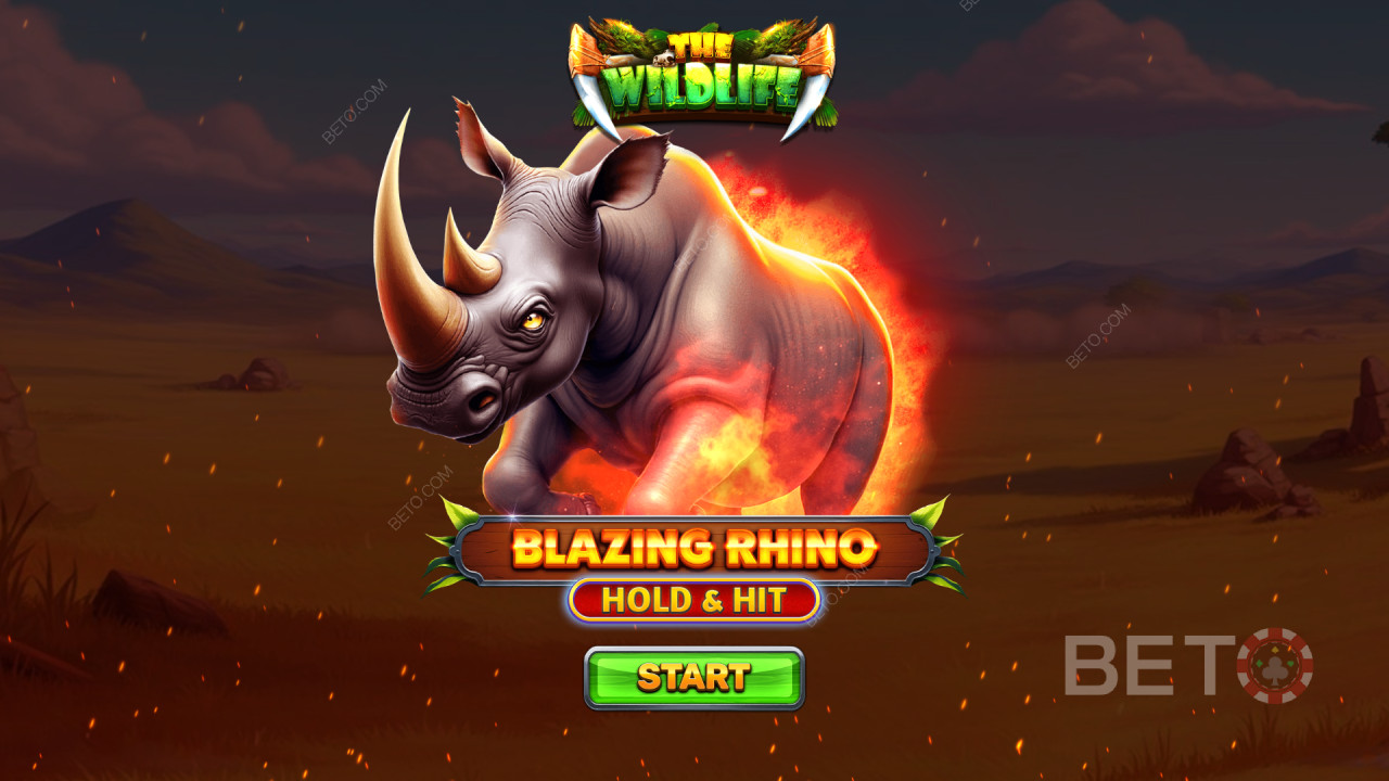 如何玩Spinomenal的《Blazing Rhino Hold & Hit》
