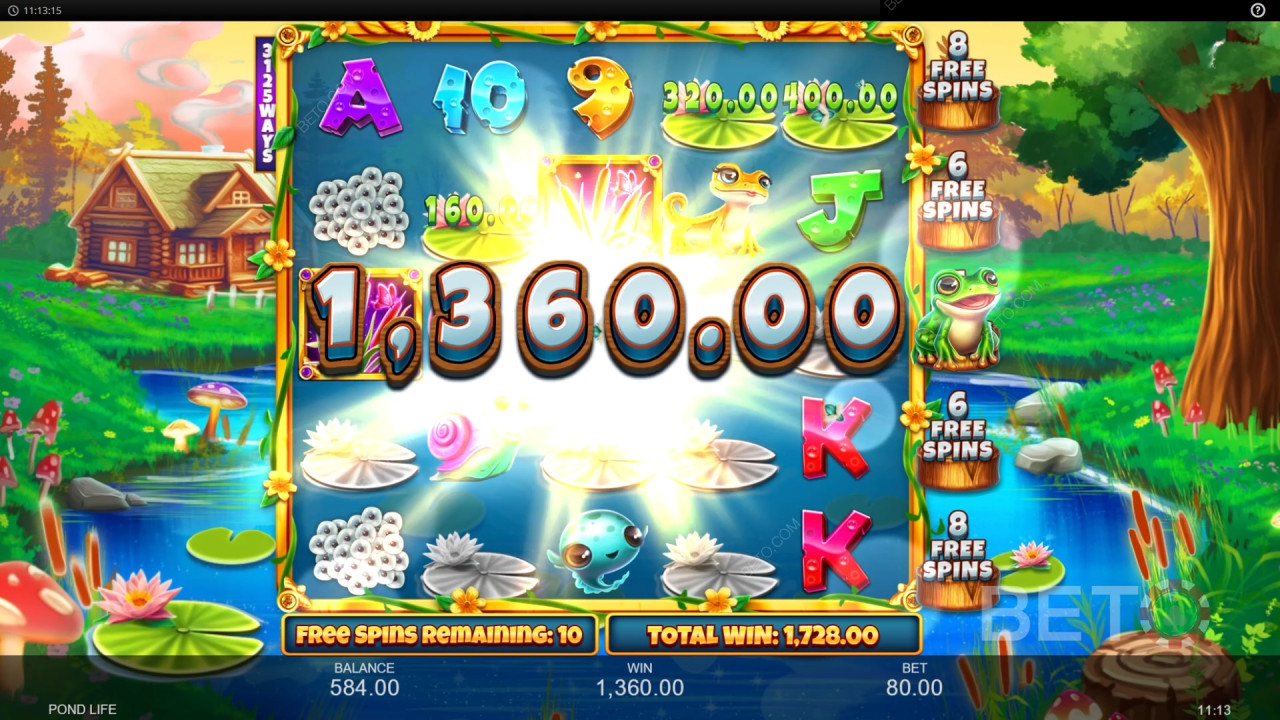BETO Slots 的 Pond Life 評測