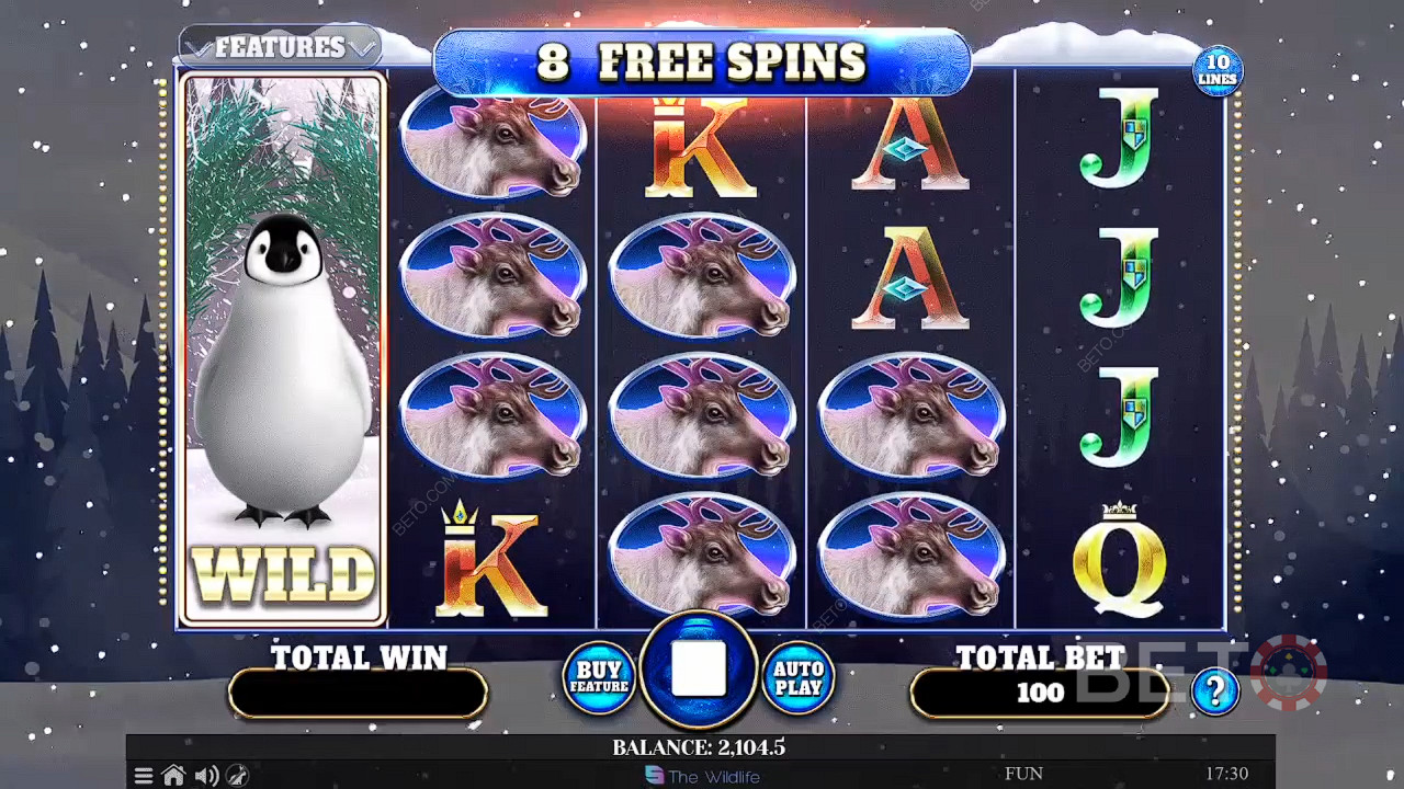 Wild Penguin 免費遊戲