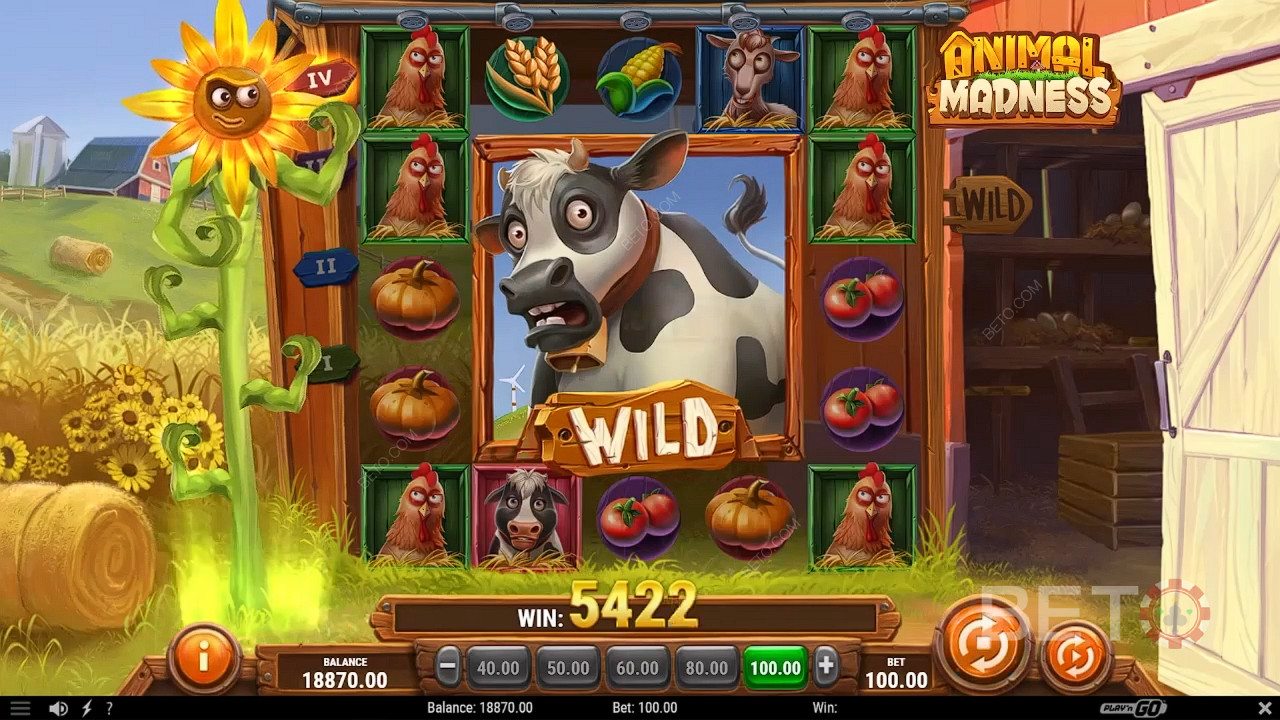 Animal Madness 免費遊戲