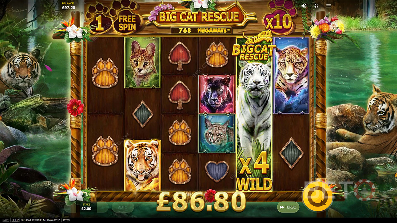 BETO 老虎機的 Big Cat Rescue Megaways 評論
