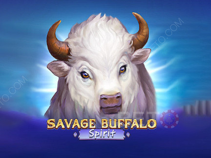 Savage Buffalo Spirit 展示版