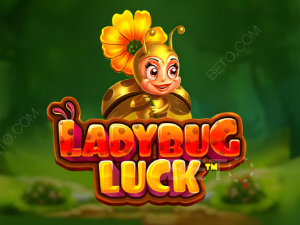 Ladybug Luck  展示版