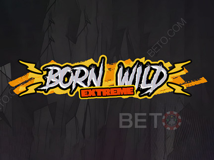 Born Wild 展示版