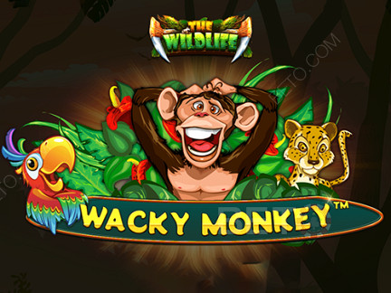 Wacky Monkey 展示版