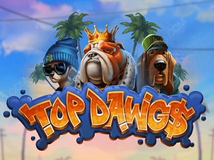 Top Dawgs 展示版
