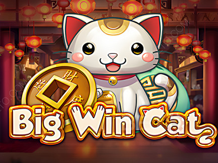 Big Win Cat 展示版