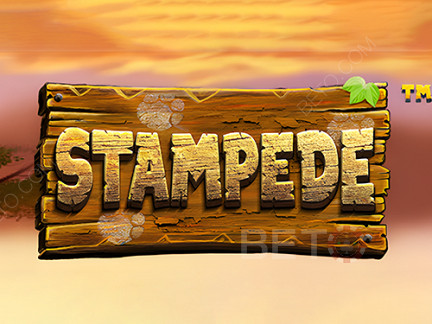 Stampede (Betsoft)  展示版