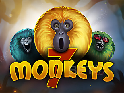 7 Monkeys  展示版