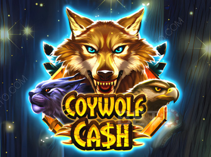 Coywolf Cash 展示版