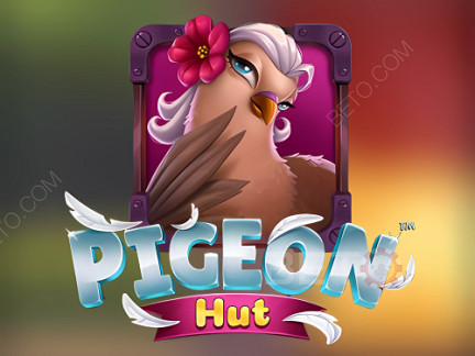 Pigeon Hut 展示版
