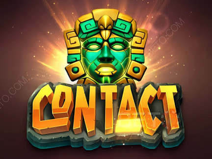 Contact 展示版