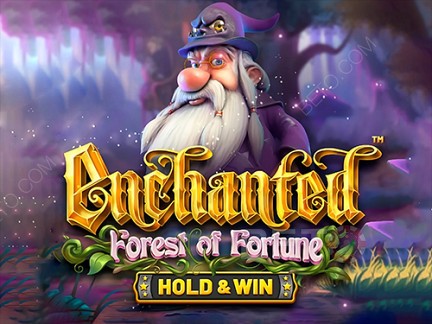Enchanted: Forest of Fortune 展示版