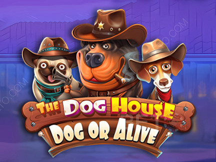 The Dog House - Dog or Alive 展示版
