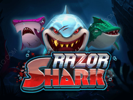 Razor Shark 展示版