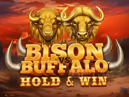 Bison vs Buffalo 展示版