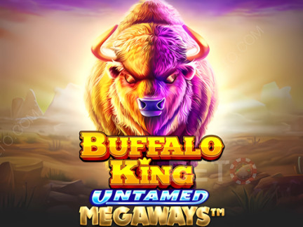 Buffalo King Untamed Megaways 展示版