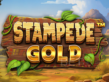 Stampede Gold 展示版