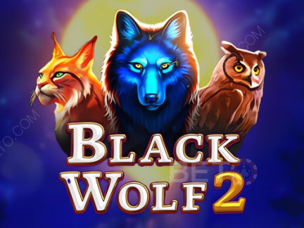 Black Wolf 2 展示版