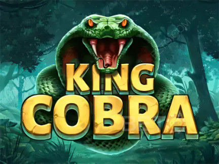 King Cobra 展示版