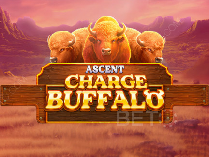 Charge Buffalo-ASCENT 展示版