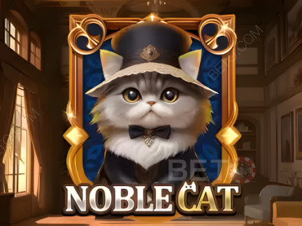 Noble Cat 展示版