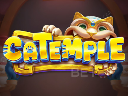Catemple 展示版