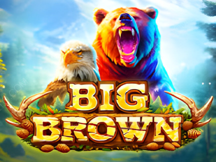 Big Brown 展示版