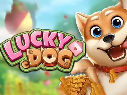 Lucky Dog 展示版