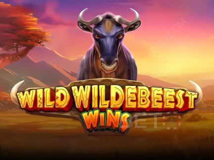 Wild Wildebeest Wins 展示版
