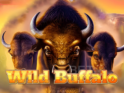 Wild Buffalo 展示版