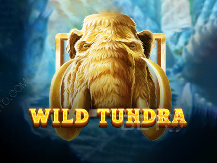 Wild Tundra 展示版