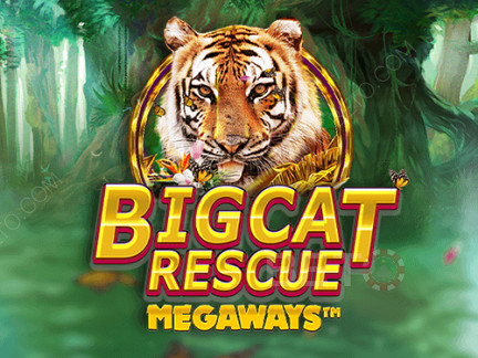 Big Cat Rescue Megaways 展示版