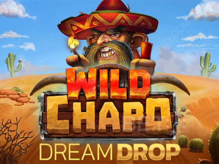 Wild Chapo Dream Drop 展示版